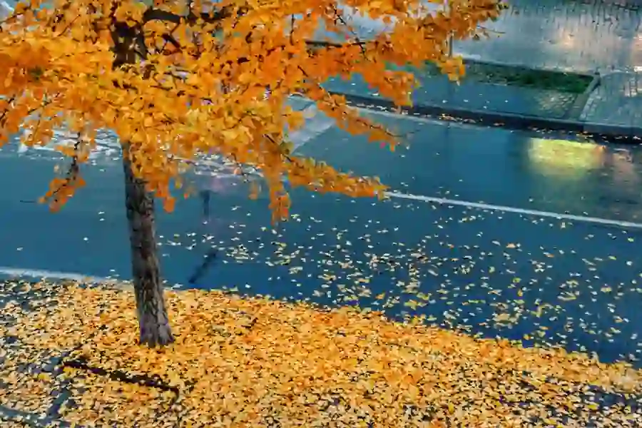 환절기 거리 풍경